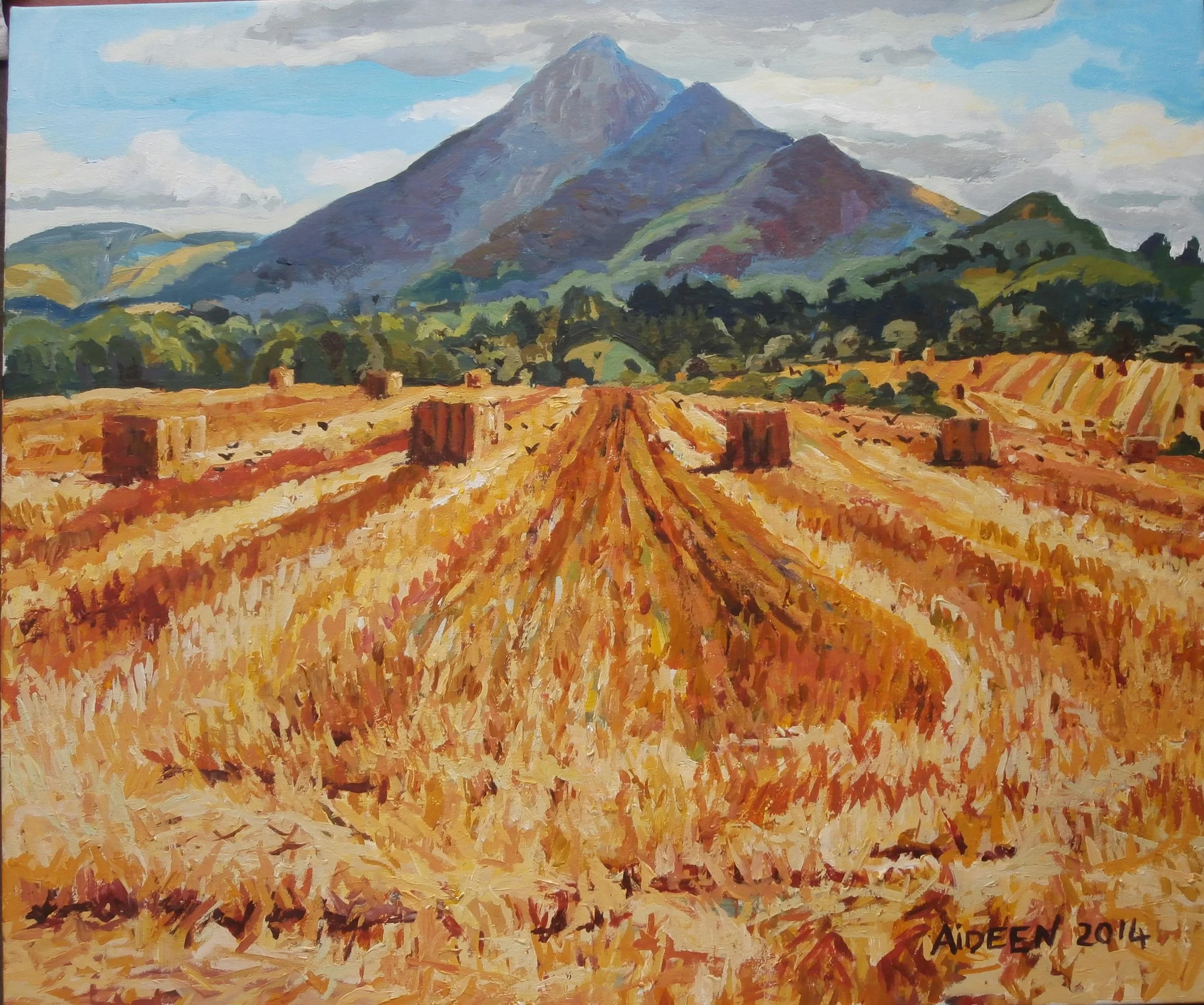 The Big Sugarloaf Bray