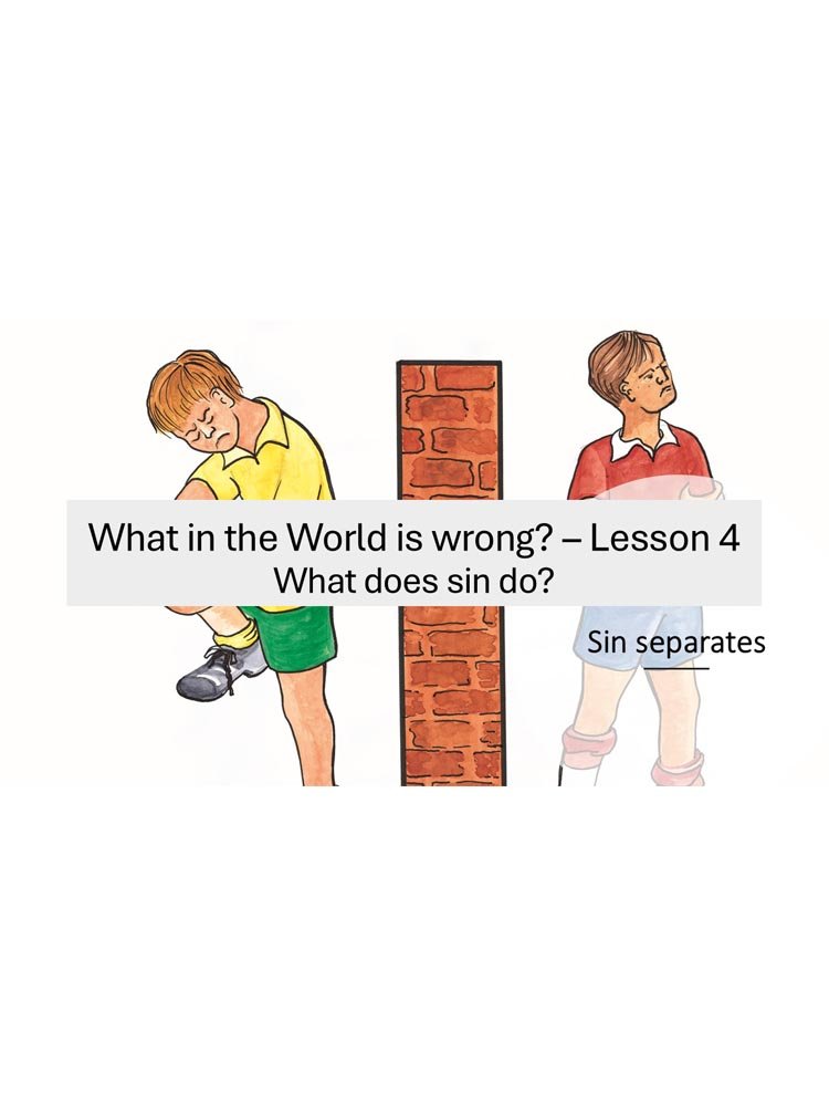 What is Wrong? - Lesson 4 (Powerpoint)