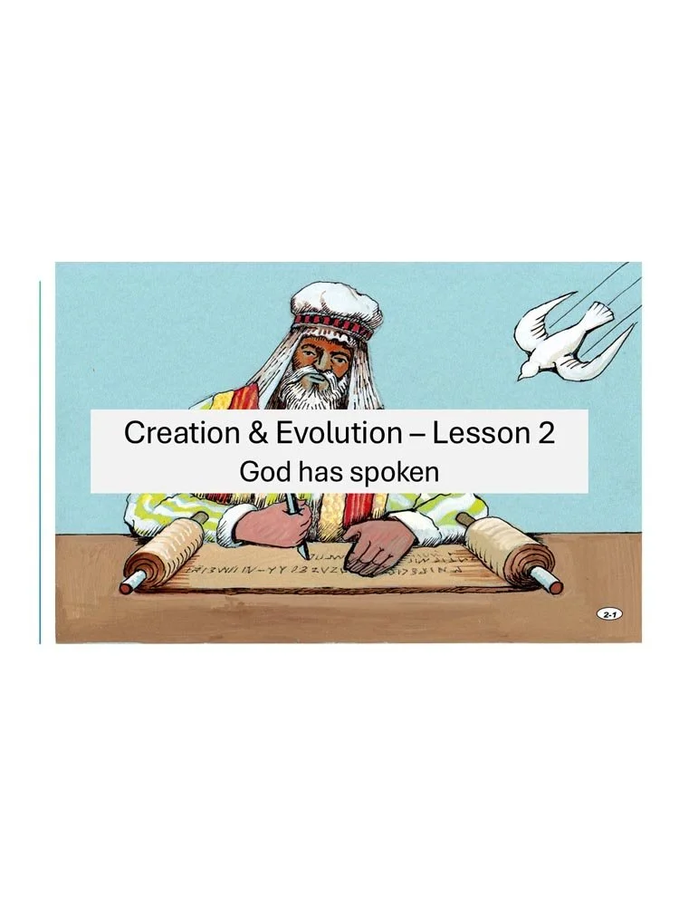 Lesson 3 store.jpg