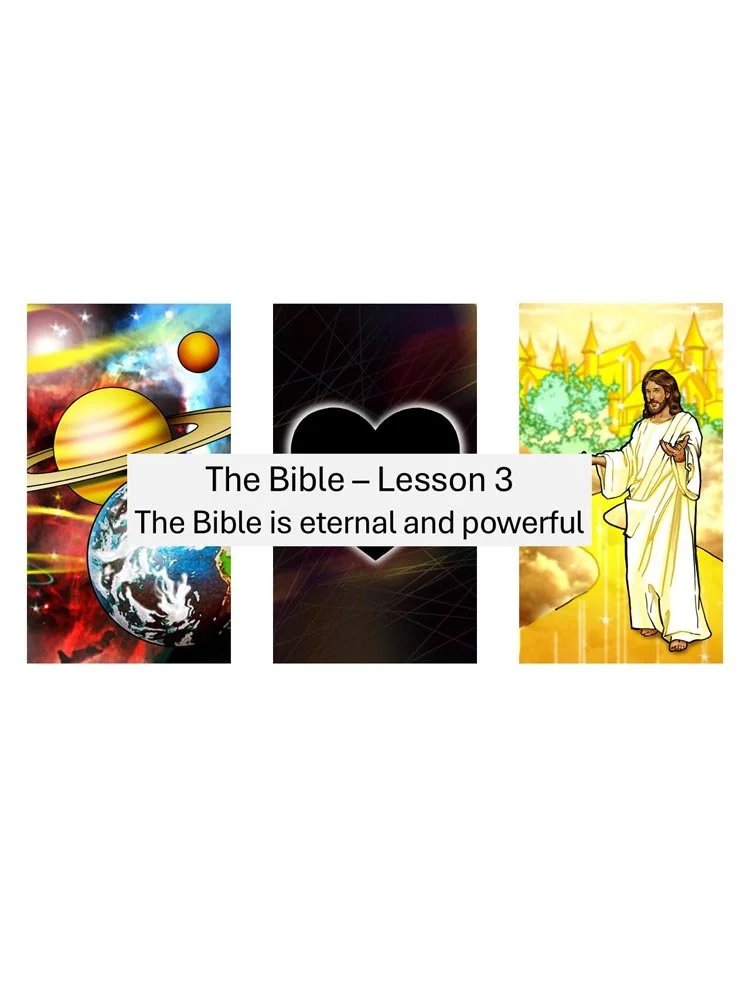Lesson 3 store.jpg