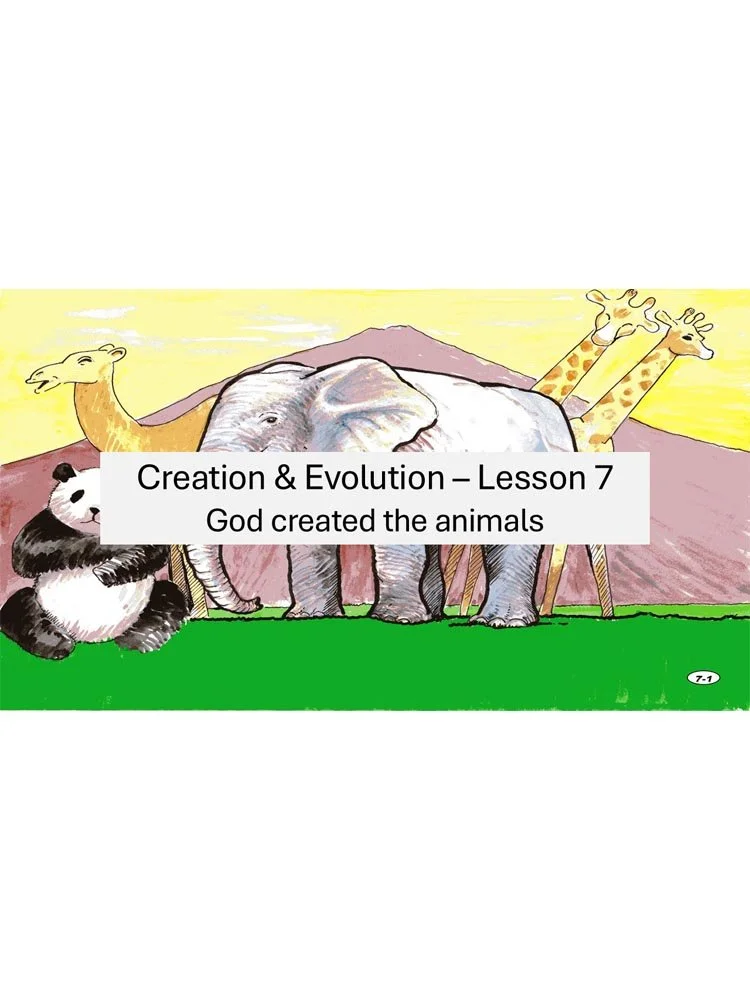 Lesson 7 store.jpg