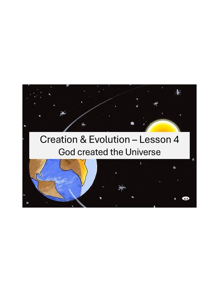 Lesson 4 store.jpg