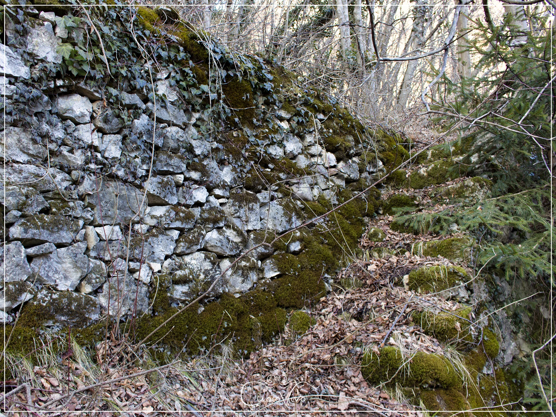 Una delle tante rovine che si possono trovare sulle Castelère