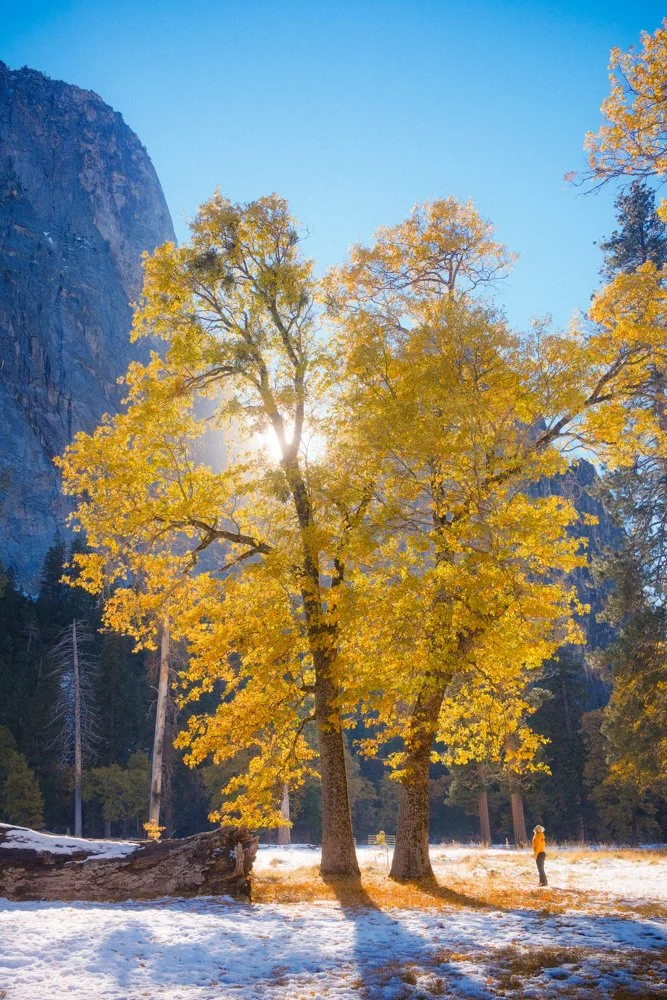 Catching Light in Yosemite