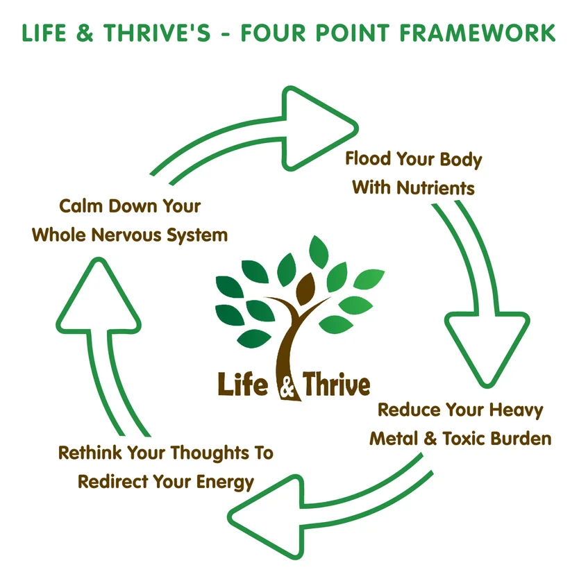 L&T Four Point Framework - smaller size.jpg