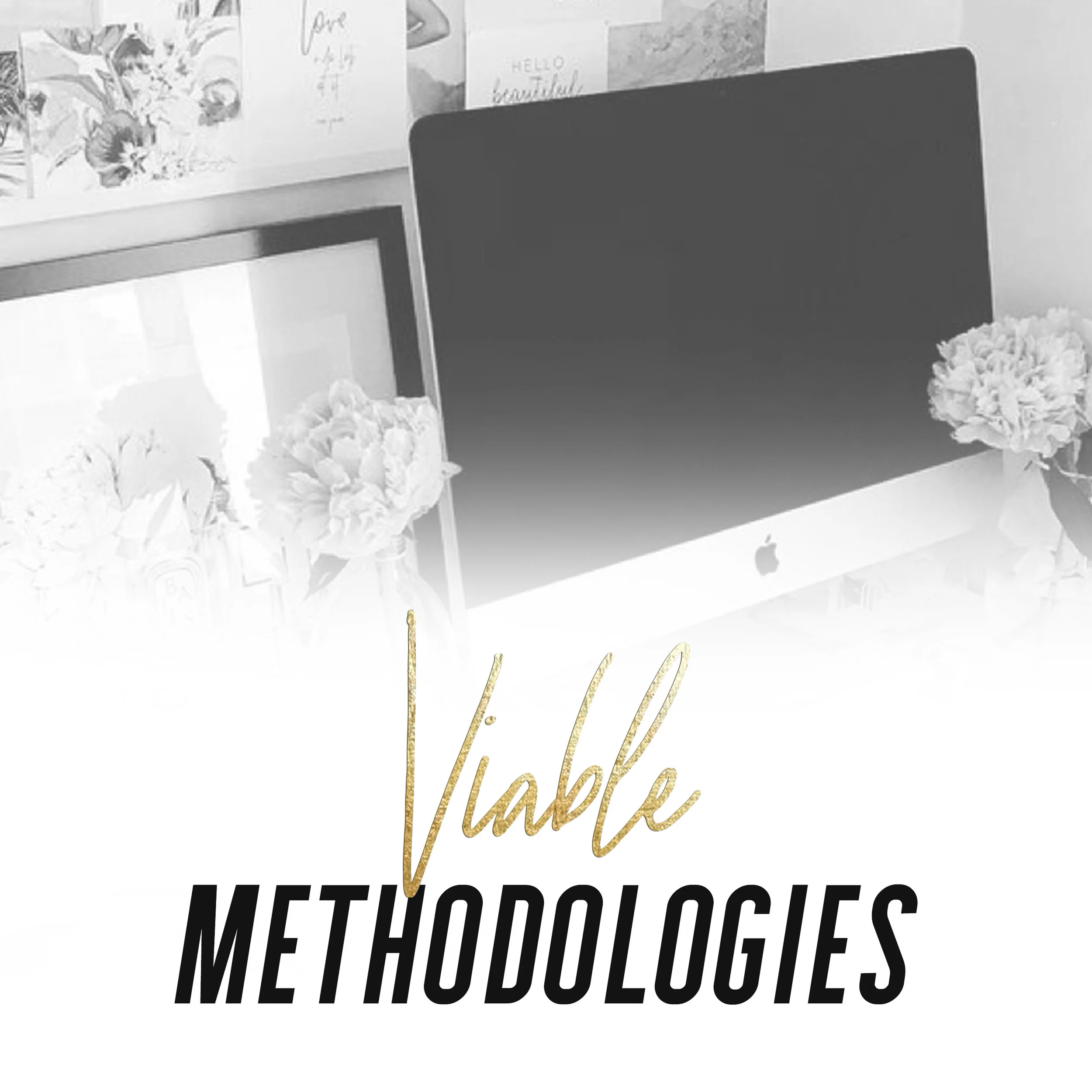 Viable_Methodologies.jpg