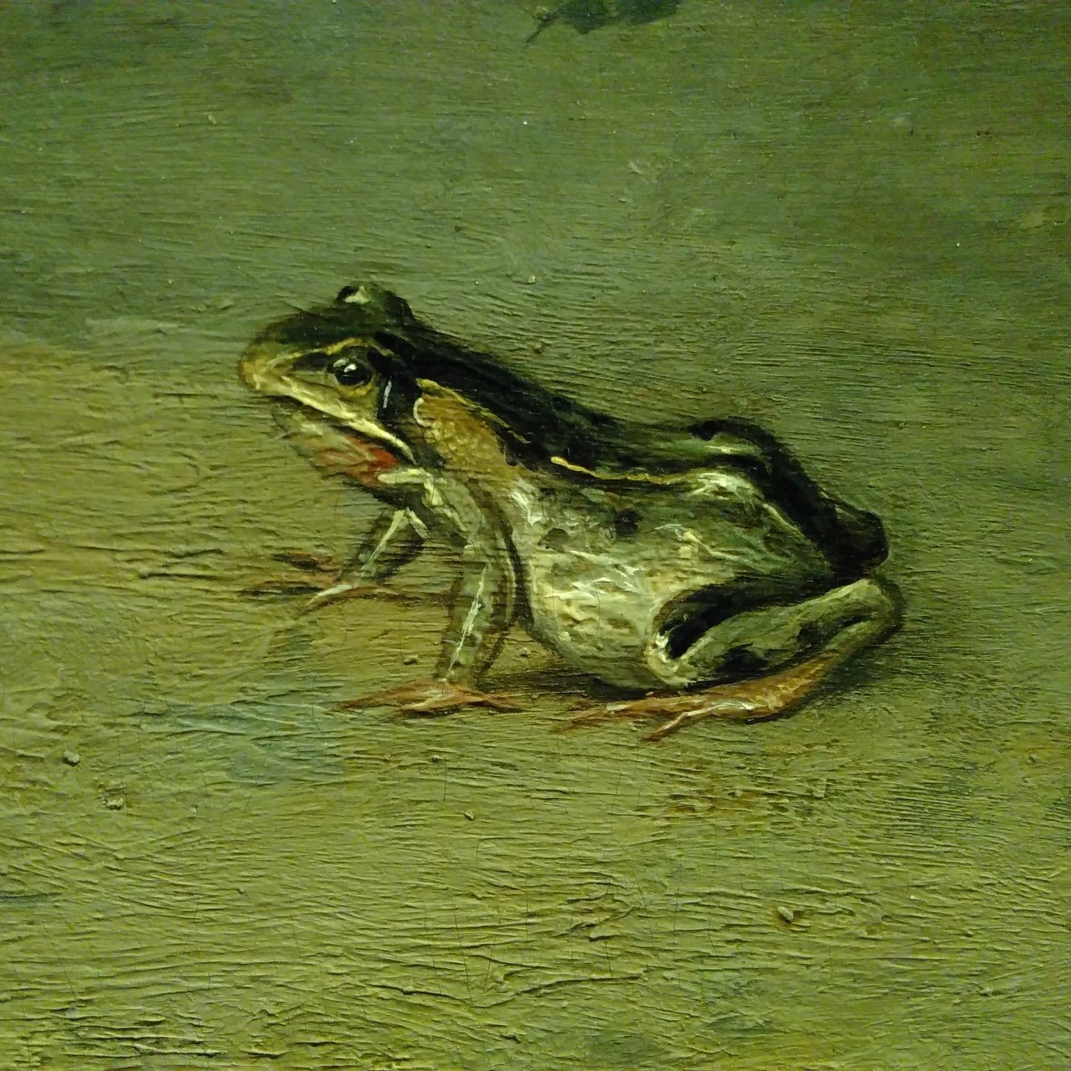 242: The Frogs, by Aristophanes