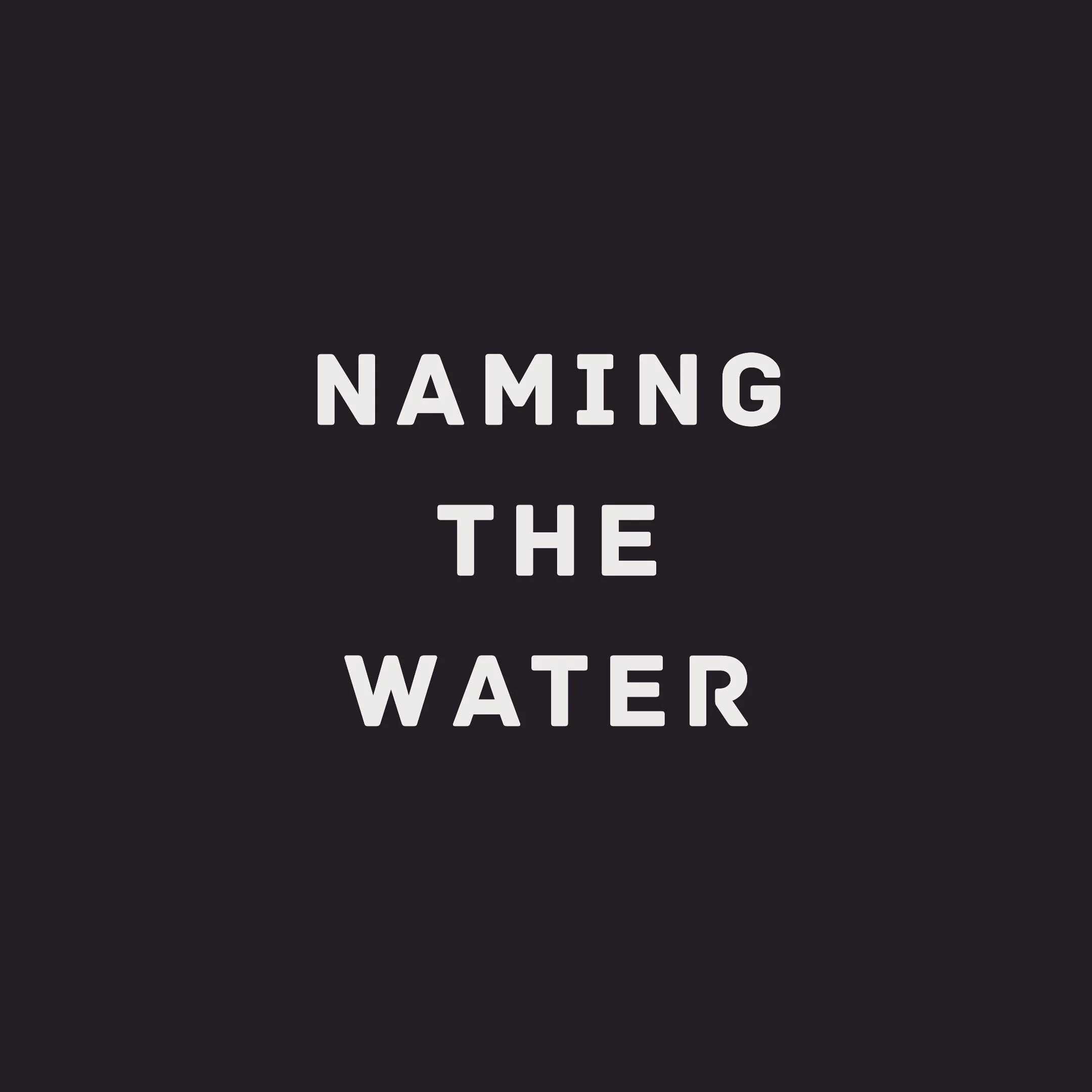 Naming the Water: Dismantling White Supremacy
