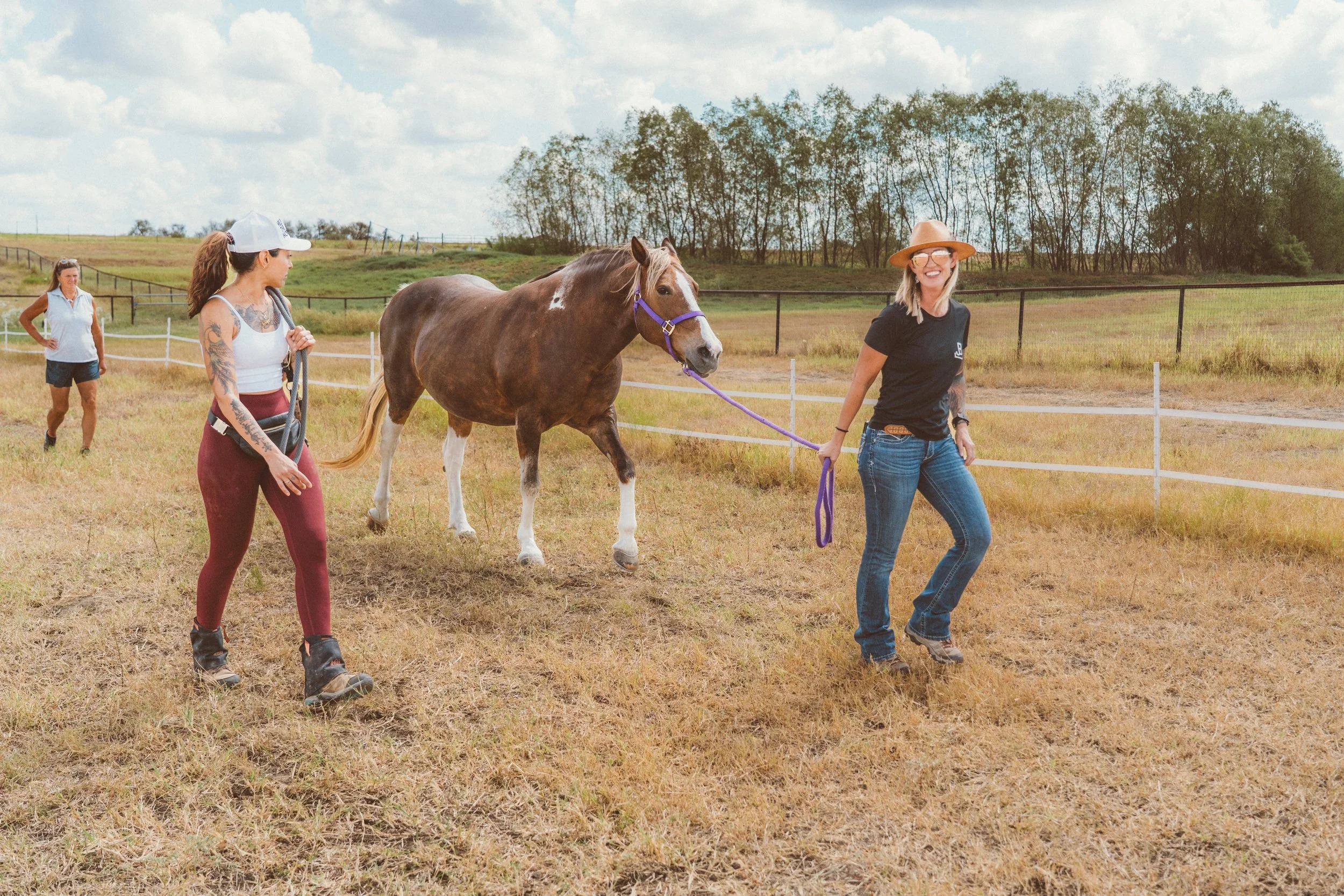 Brassard Equine Bodywork Clinic