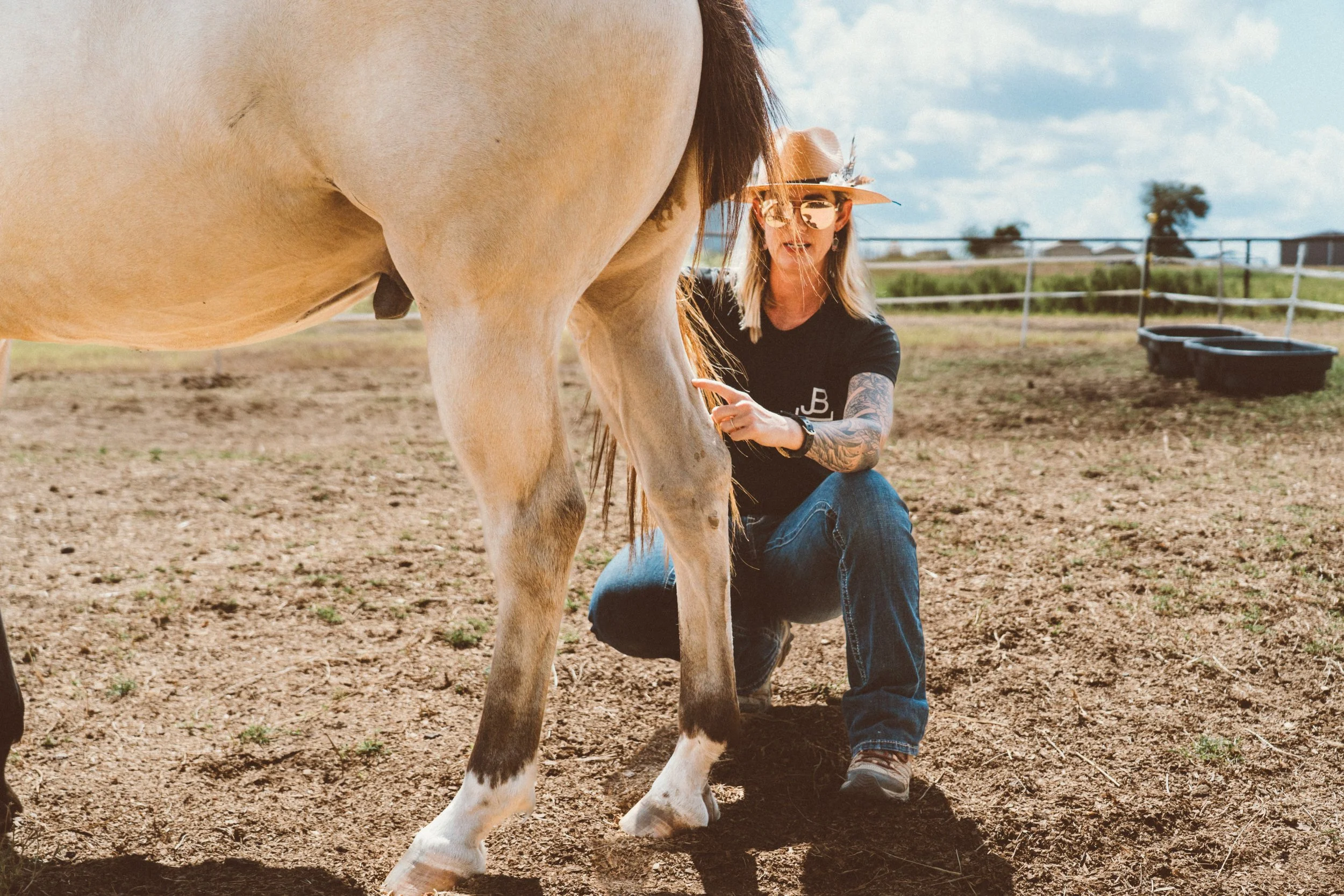 Brassard Equine Bodywork Clinic