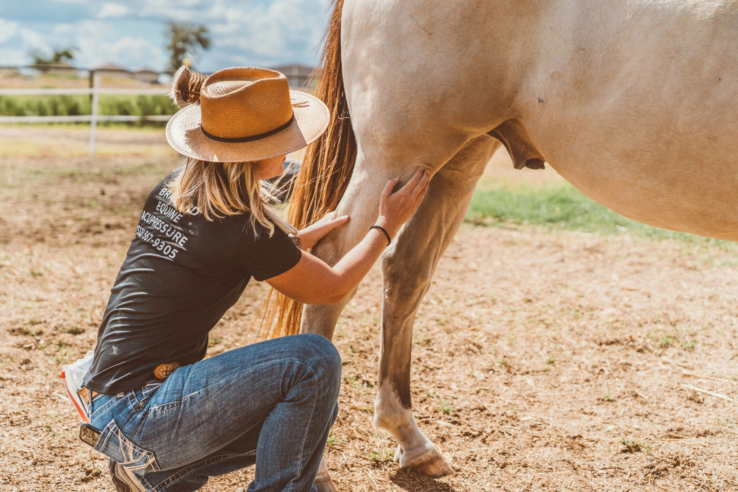 Brassard Equine Bodywork Clinic