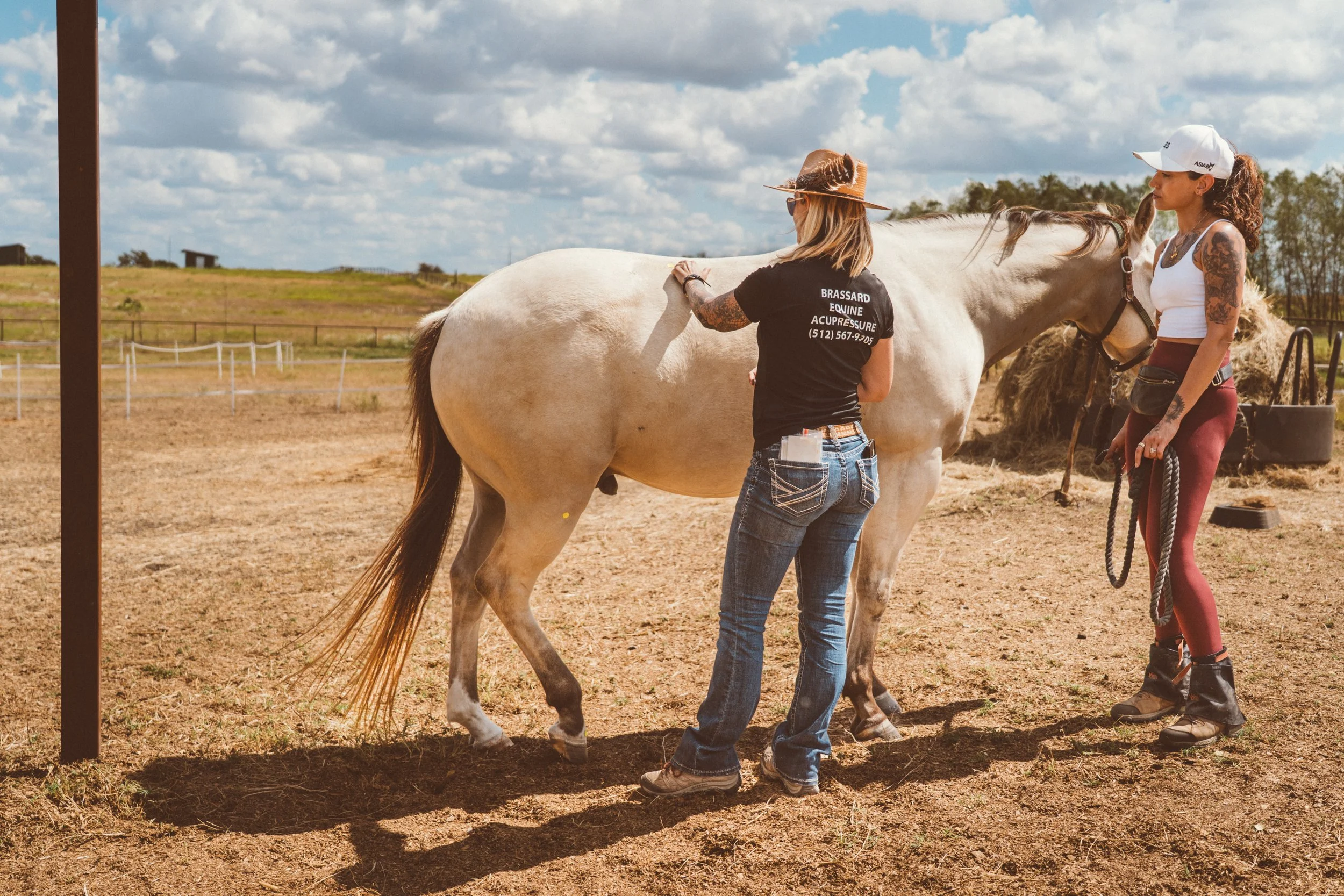 Brassard Equine Bodywork Clinic