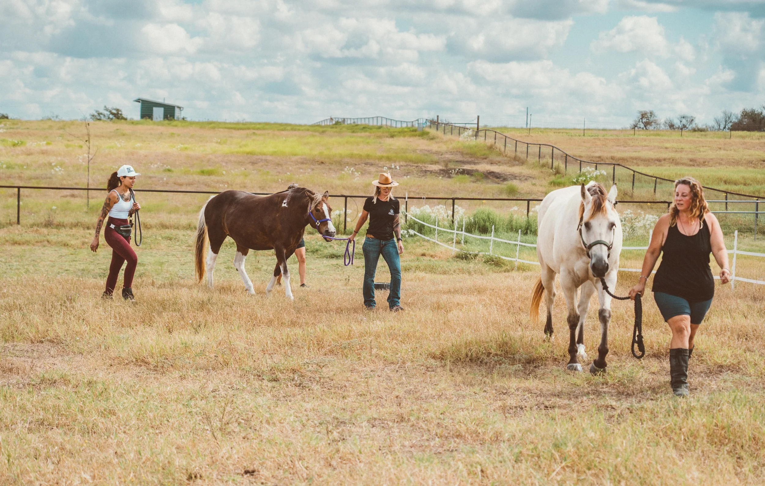 Brassard Equine Bodywork Clinic