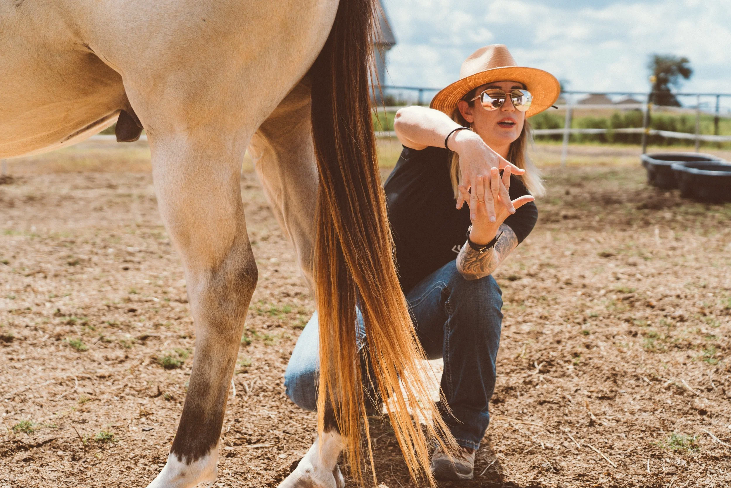 Brassard Equine Bodywork Clinic