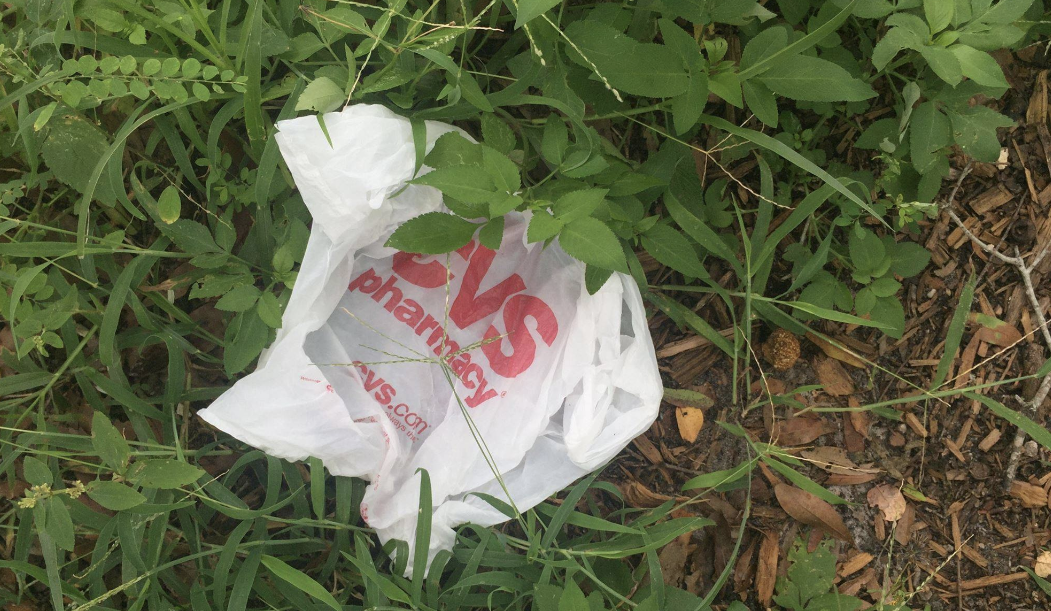 Saint Pete Ban the Bag.png