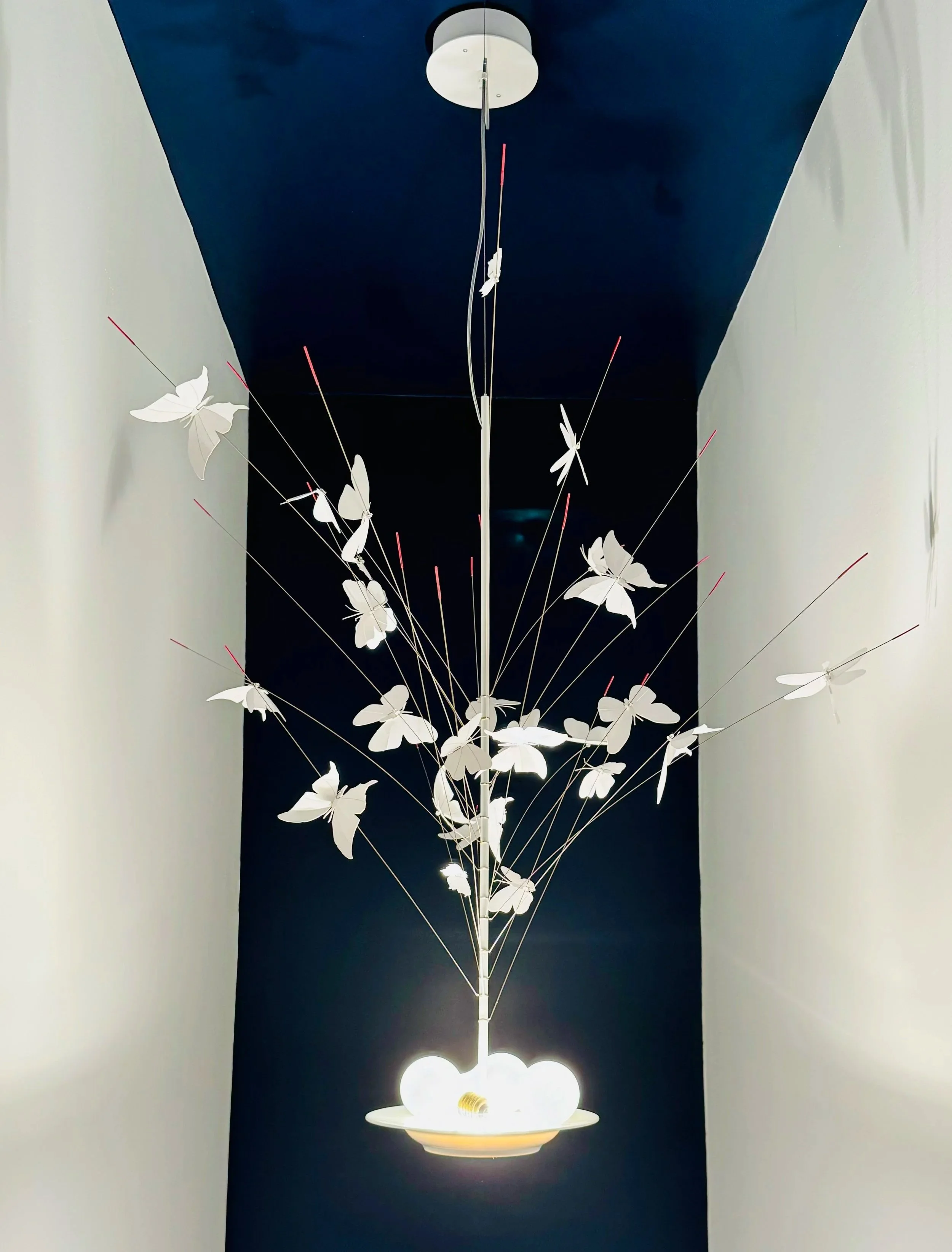 La Festa Delle Farfalle