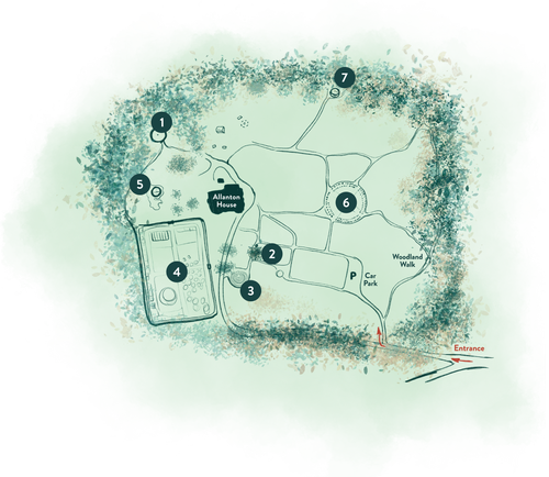 Practice Overview — ALLANTON PEACE SANCTUARY