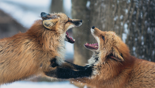 What empathy is not! — The Empathy Set