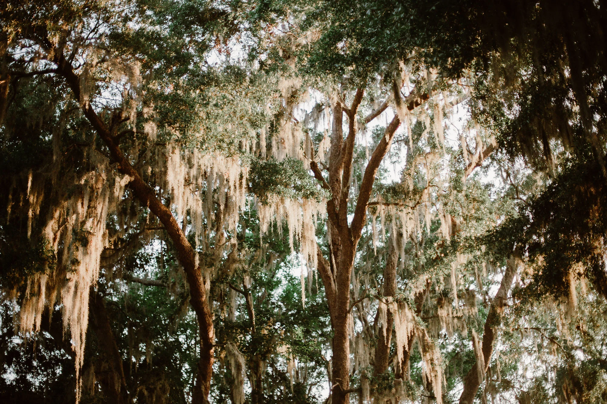 RossMcGowanWright-Charleston-SouthCarolina-11.jpg