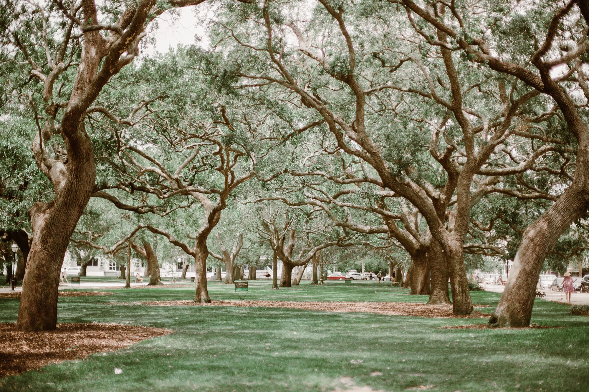 RossMcGowanWright-Charleston-SouthCarolina-12.jpg