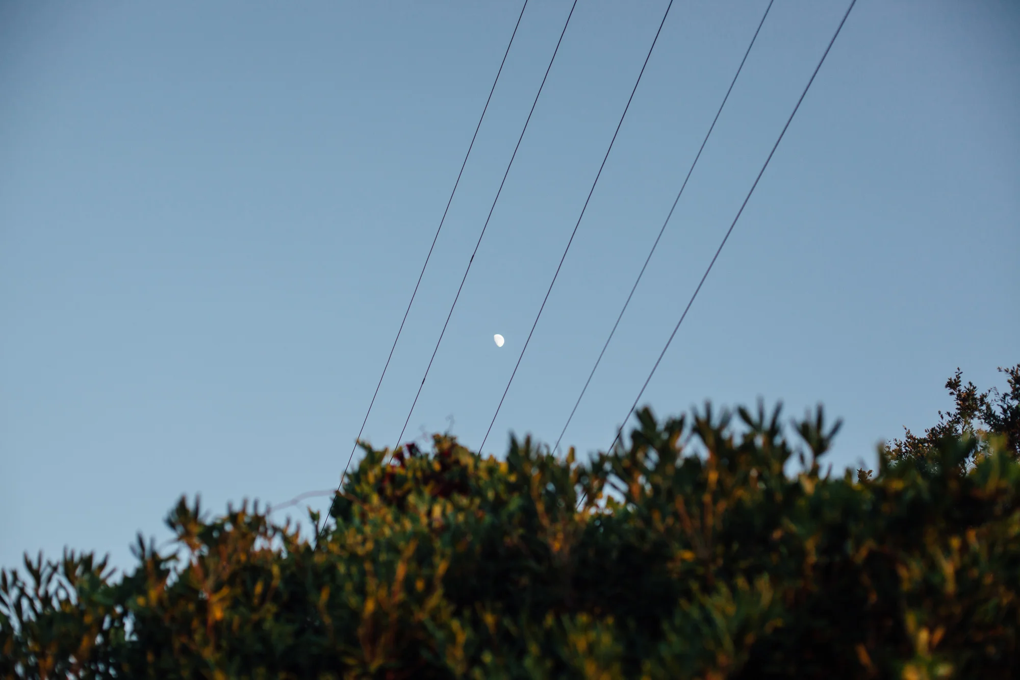 RossMcGowanWright-Edisto-5.jpg