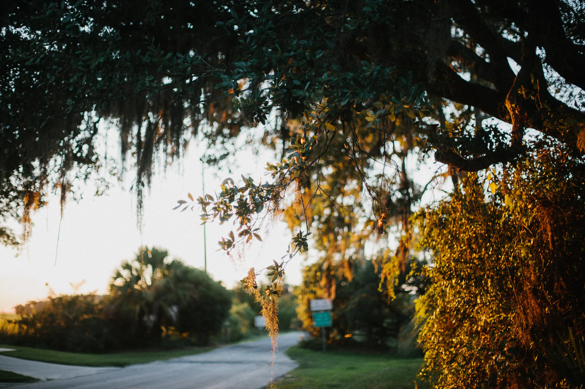 RossMcGowanWright-Edisto-4.jpg