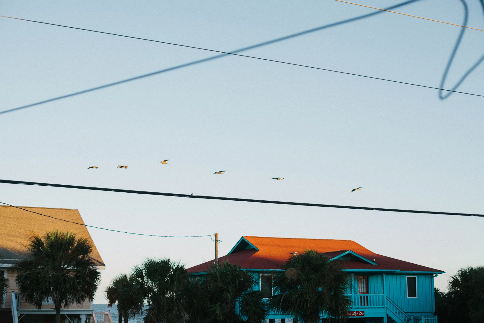 RossMcGowanWright-Edisto-8.jpg
