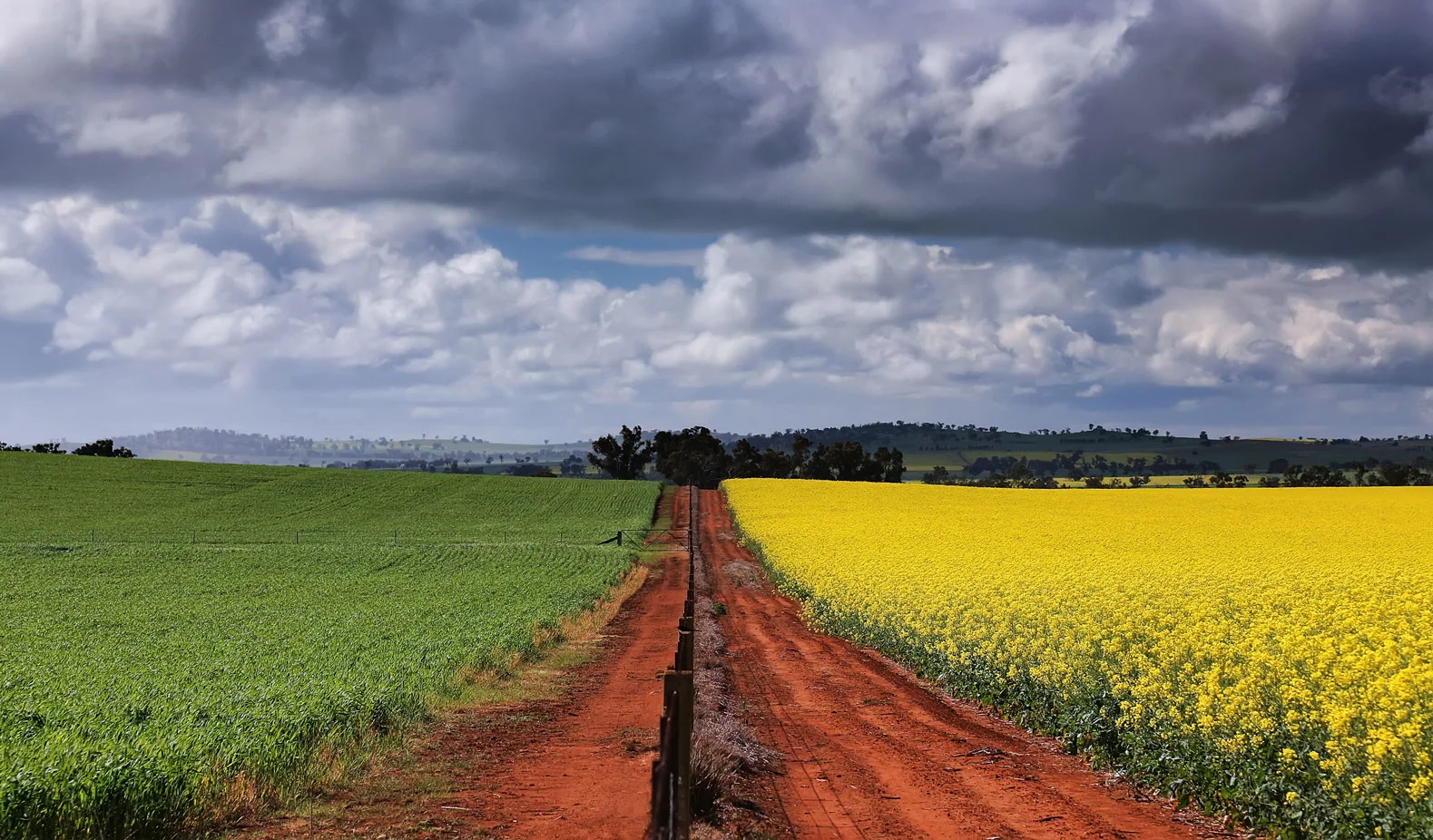 0303---Fields-of-Green-and-Gold,-Annette-Blattman.jpg