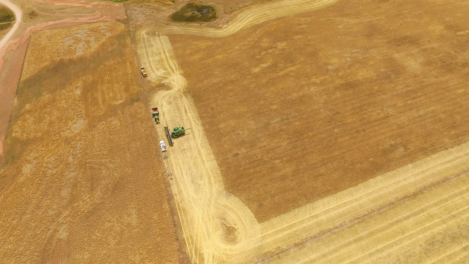 0774---Harvest-from-Above---Russell-Menzies.jpg