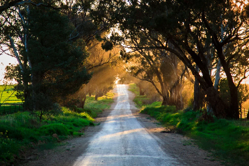 0221---Laneway-at-Sunset,-Holly-Gray.jpg