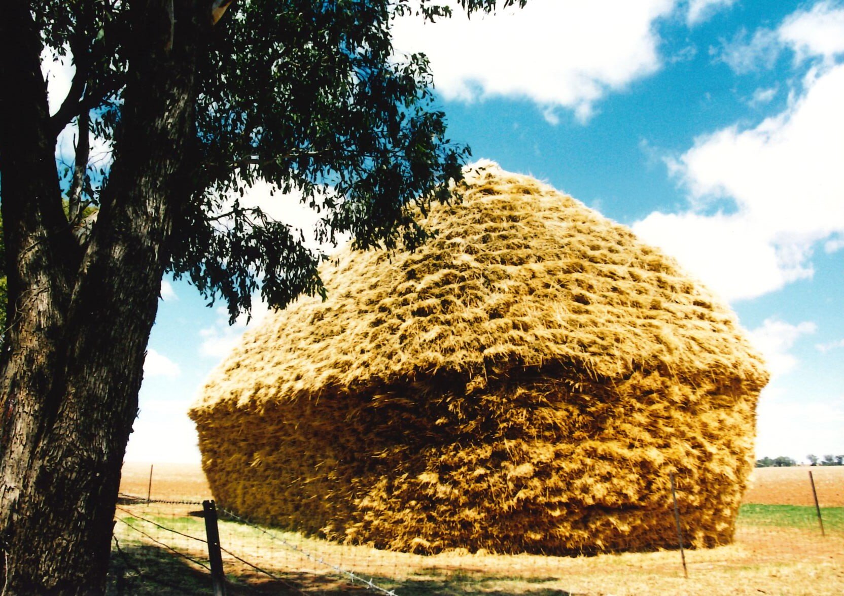 hay house 2.jpg