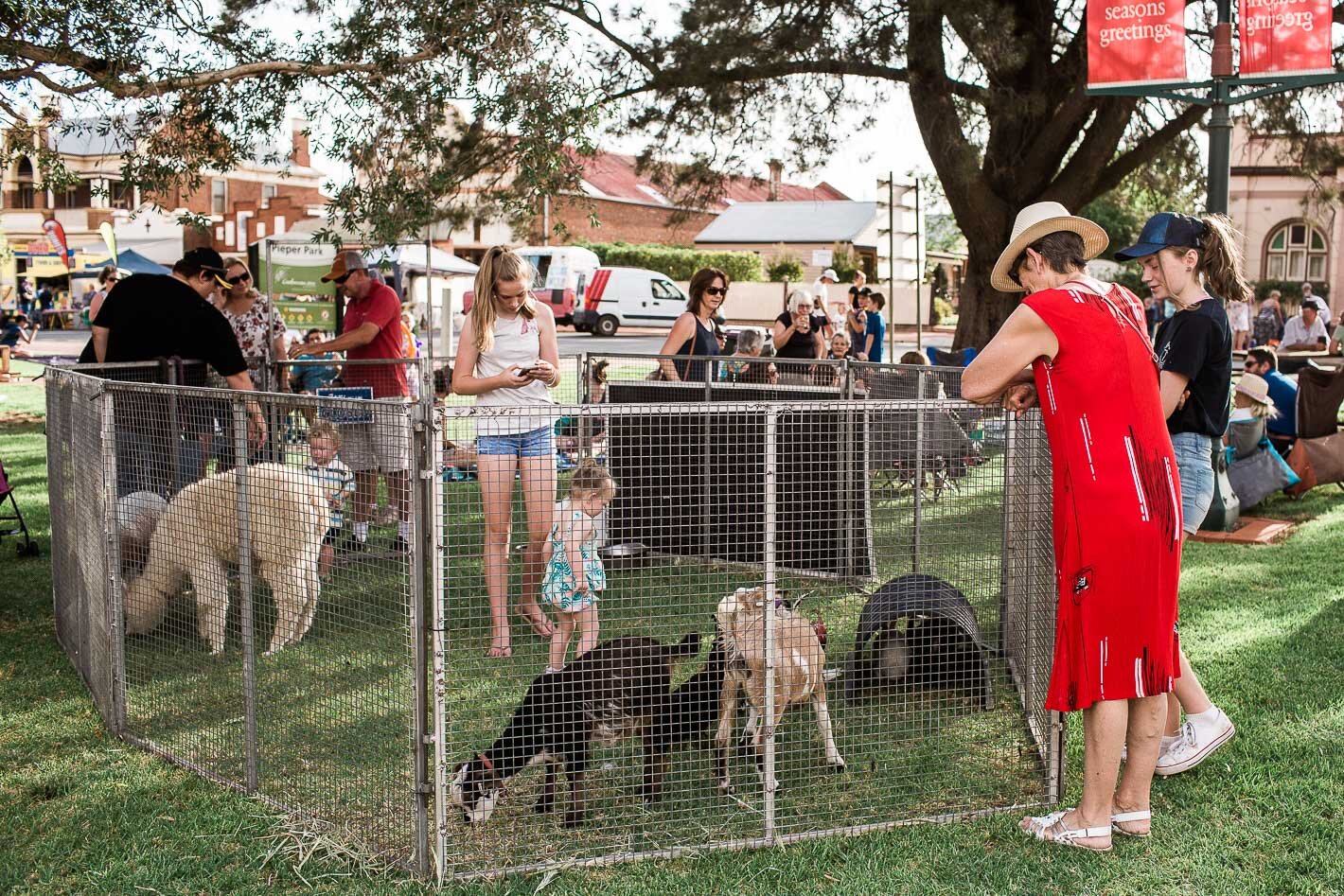 Coolamon NYE 2019 WEB-21.jpg