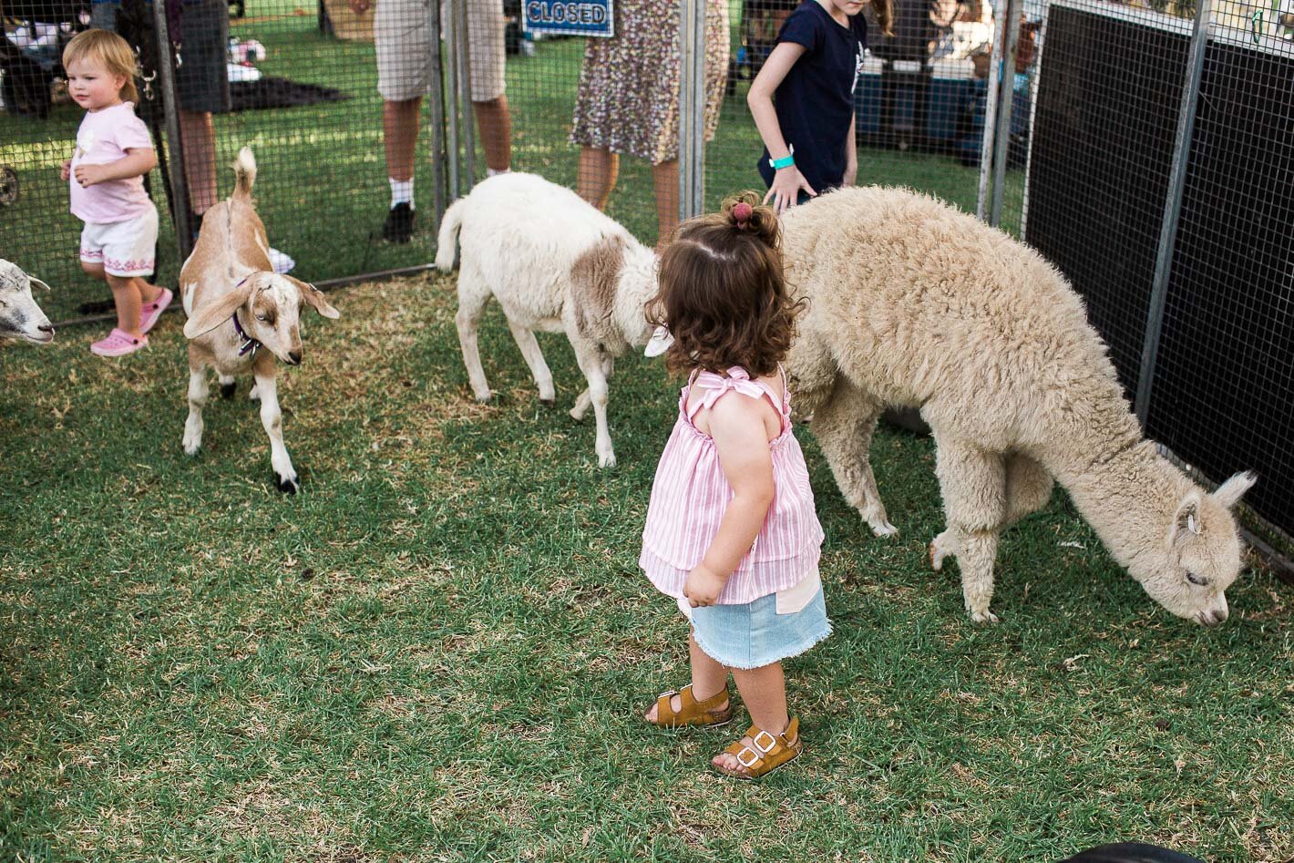 Coolamon NYE 2019 WEB-88.jpg