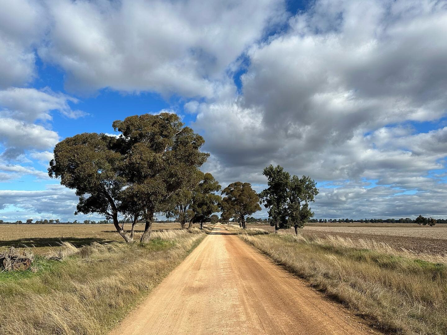 Experience the beauty of backroads in Autumn. The leaves are changing and the breeze is refreshing 🍂☀️
.
.
#visitcoolamonshire #backroads #autumn #feelnsw #canolatrail #visitriverina #visitnsw