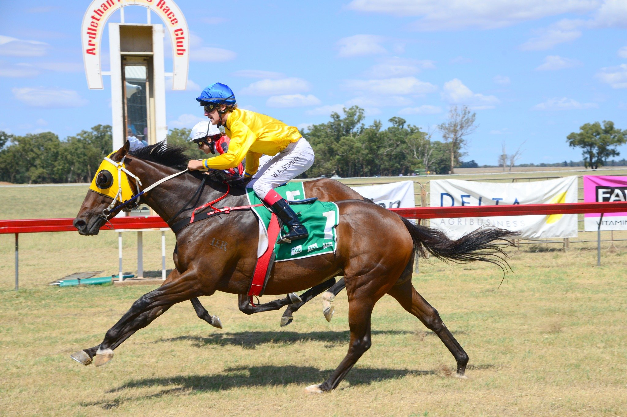 Ardlethan Picnic Races