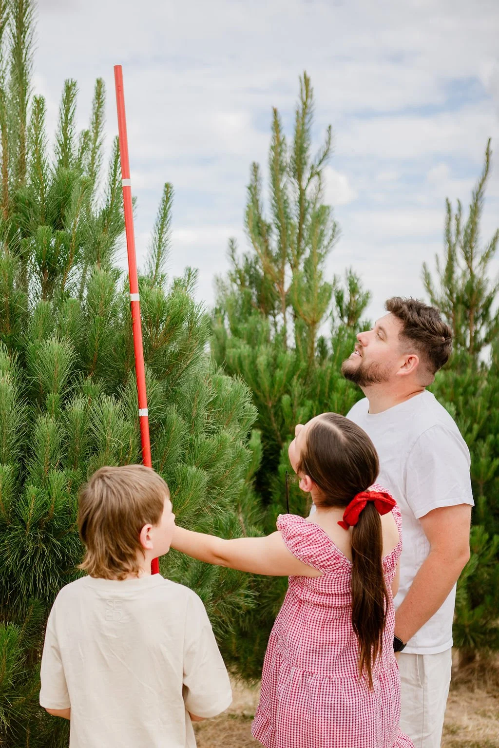Christmas Tree Tagging at Kinnilla Market - 8 &amp; 9 Nov
