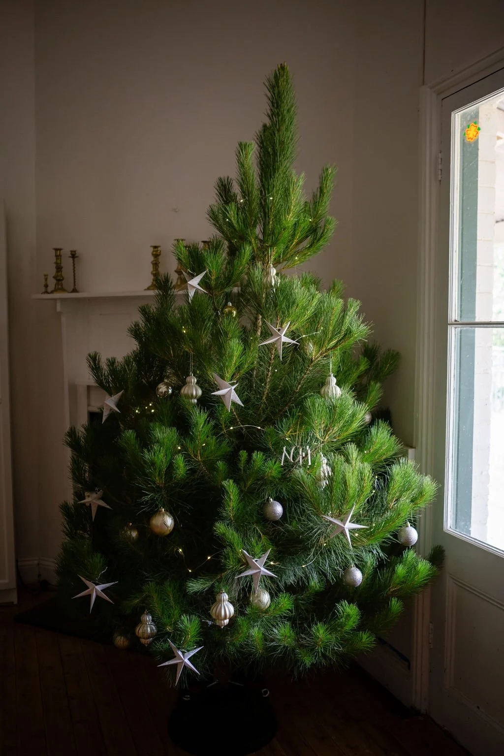 Christmas Tree Tagging at Kinnilla Market - 22 &amp; 23 Nov