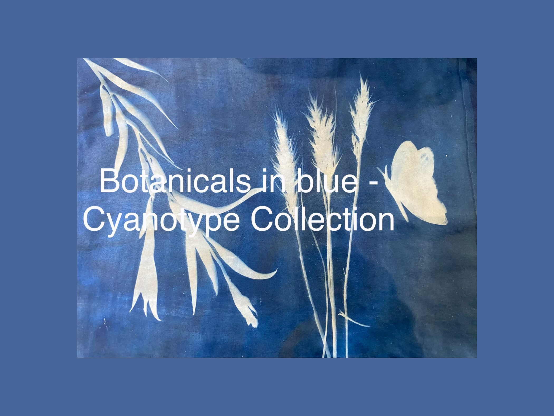 Botanicals in Blue: A Cyanotype Collection 