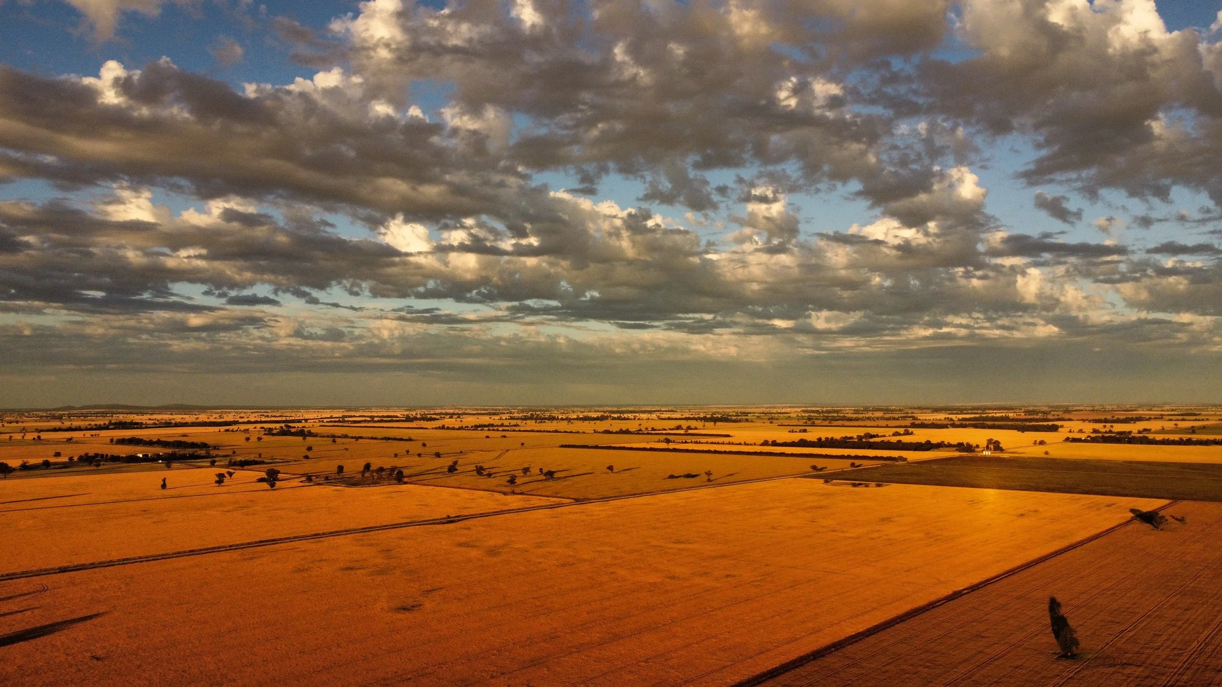 CAPTURE COOLAMON SHIRE