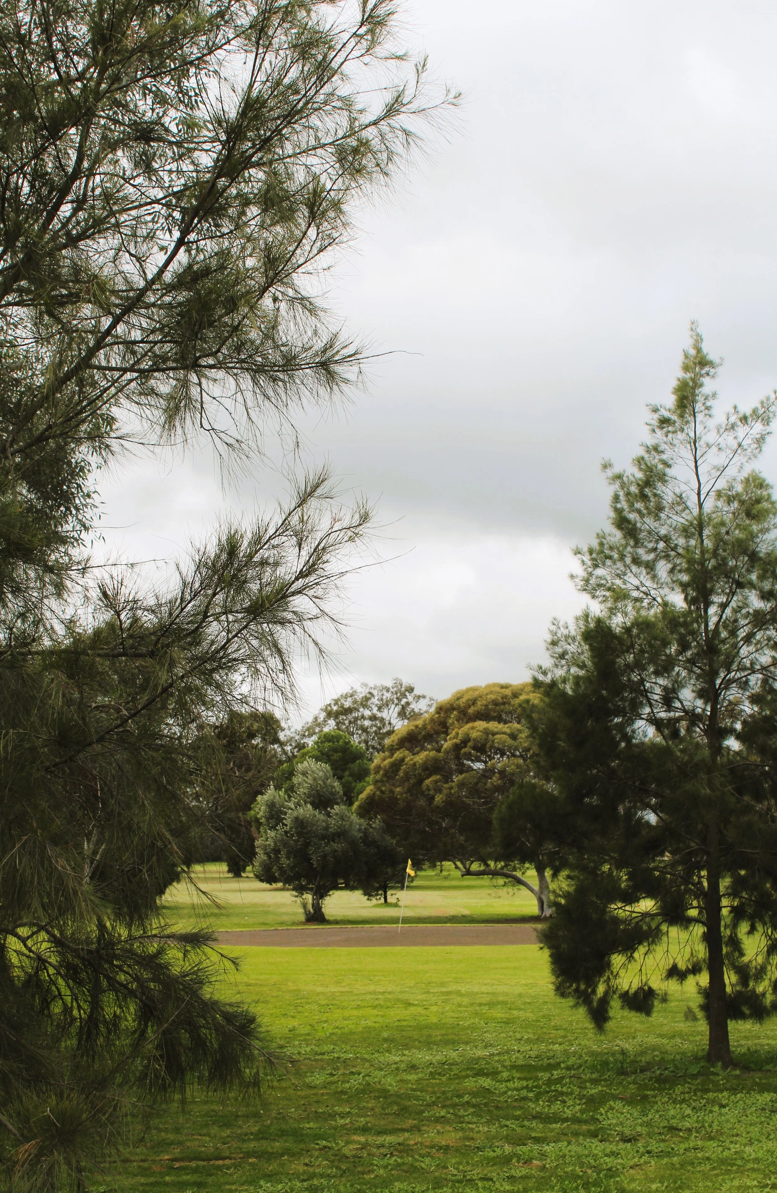 Coolamon Sport &amp; Rec Golf
