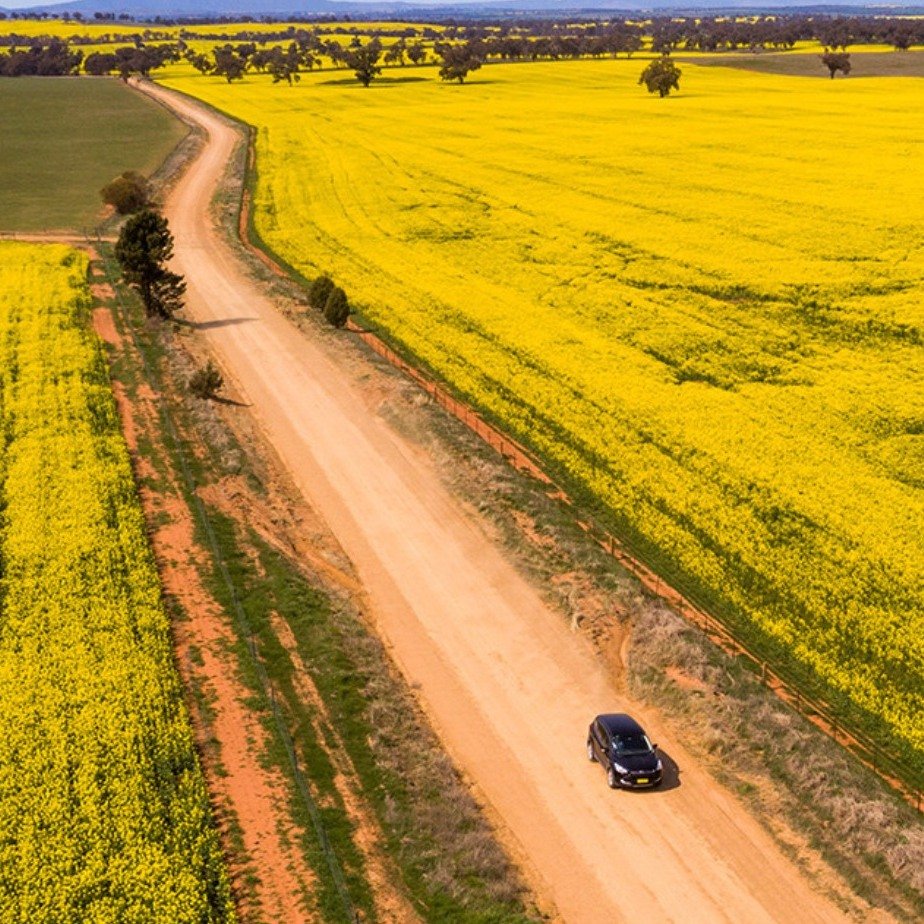 Pick a town (or six). Stop when something catches your eye. And make a day of exploring Coolamon Shire.

Canola-lined roads. Caf&eacute;s. A little shopping. Museums packed with local stories.

Where will your weekend drive take you?

@canolatrail @v