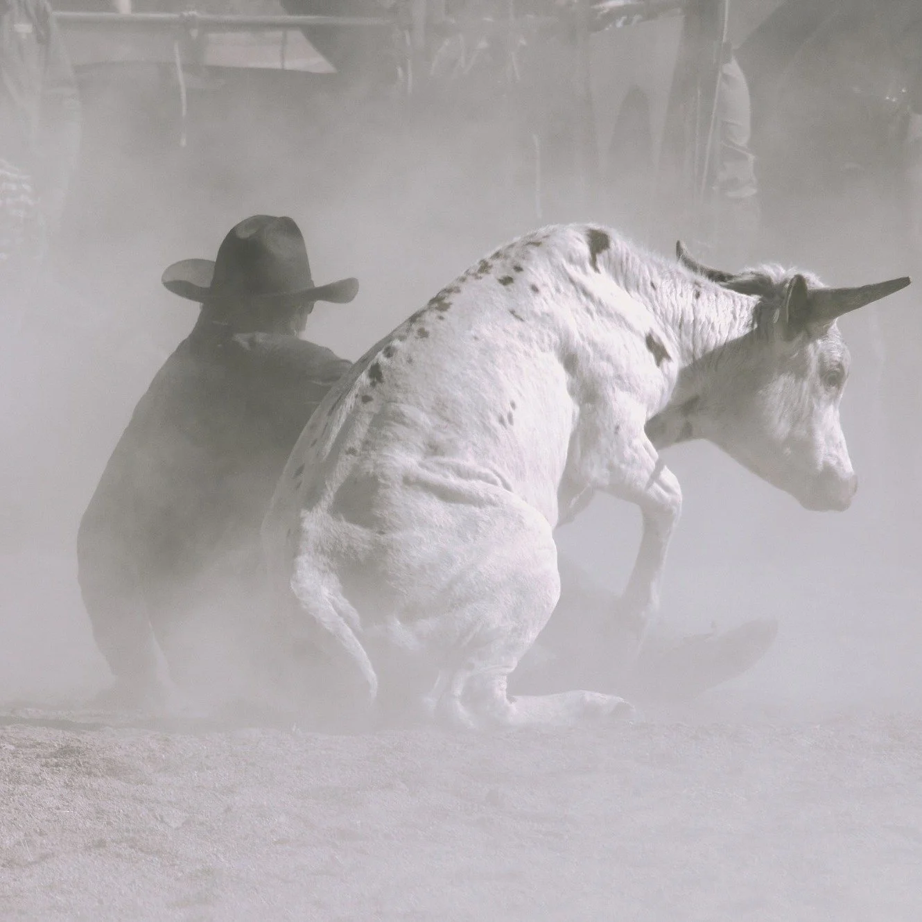 What's on this weekend:

 ⚒ Exhibition: Stories in Metal and Glass | Coolamon Up-to-Date Store 
🧀Fri 25 - Thurs 1 - A Brush Of Yellow | @coolamoncheeseco &amp; @lushcreativegalleries 
🏇Fri 25 - Sun 27- Marrar Madness | @marrar_campdraft_rodeo
🏉Sat