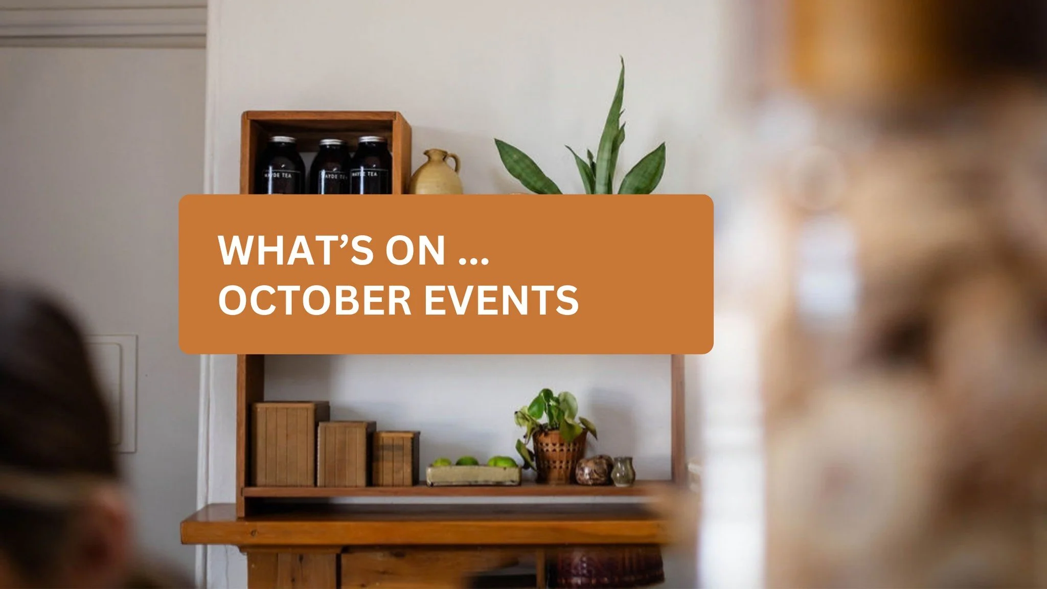 Spring is well and truly here. Check out our events line up for October:

10 Oct- Ardlethan Astronomy Public Observing Night/ Workshop
14 Oct- Wirecraft Dragonflies with @the_studio_coolamon 
18 Oct- Coolamon Rotary Garden Viewing 2026 with Coolamon 