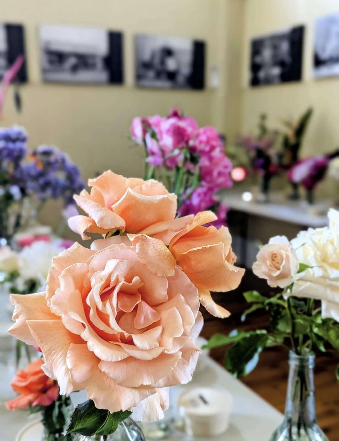 flower show.jpg