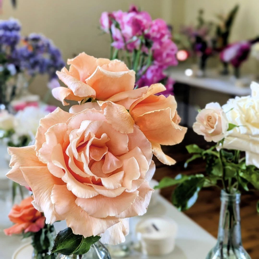 Passionate garden lover?

Ganmain CWA invites you to their annual flower show and fashion show curated by @fisherandfarmer -> Saturday 17 October 💐👗

Coolamon Rotary Club are proud to present their annual Rotary Garden Viewing day for 2026 ->