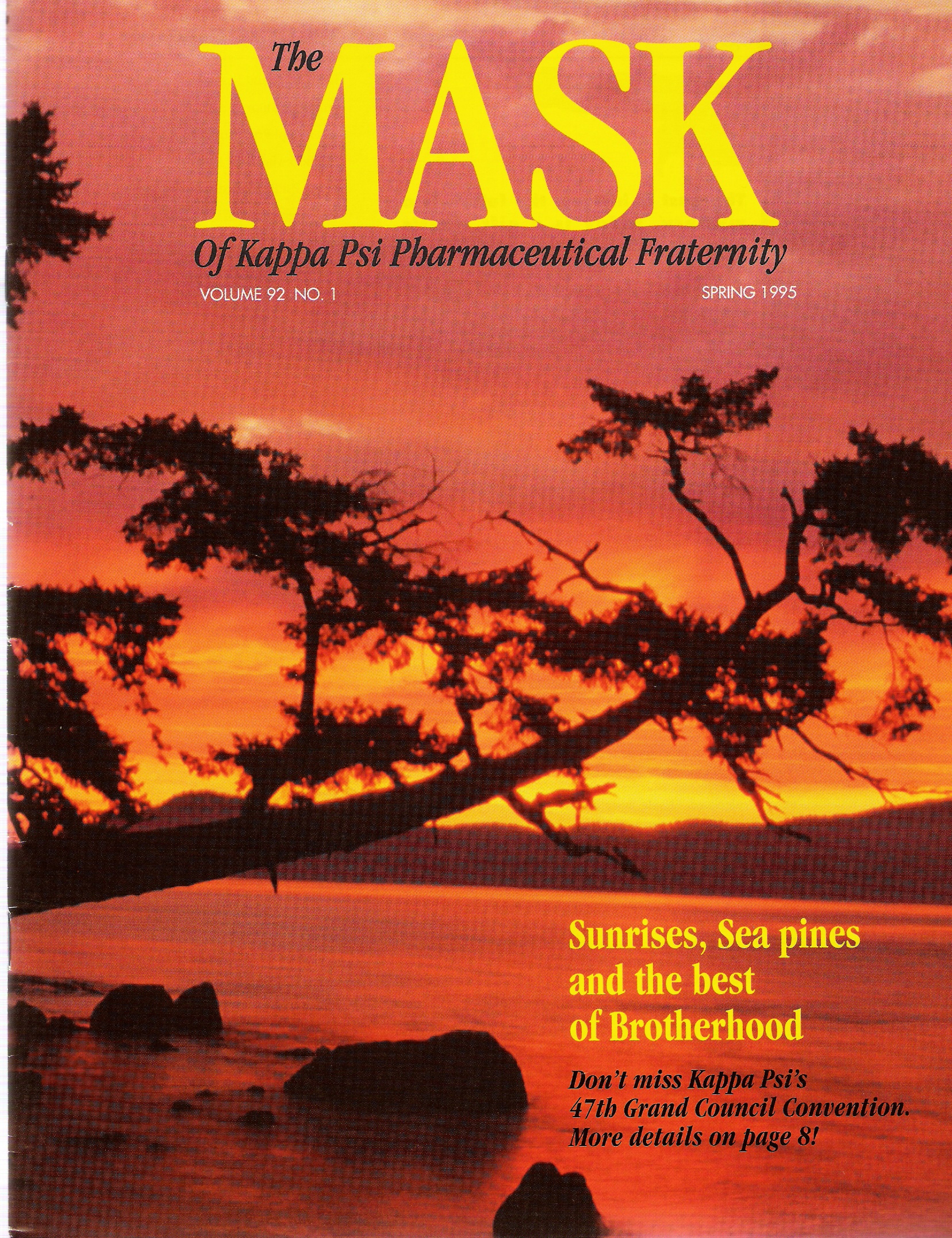 mask_cover_03_1995.jpg