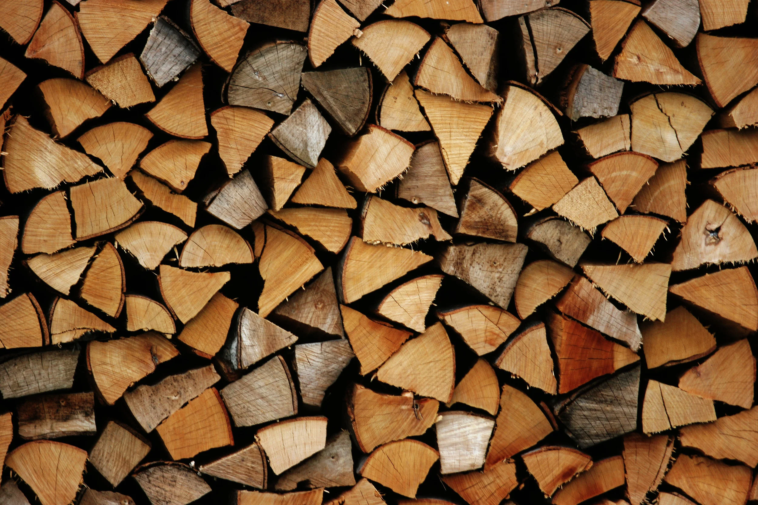 4244319-firewood.jpg