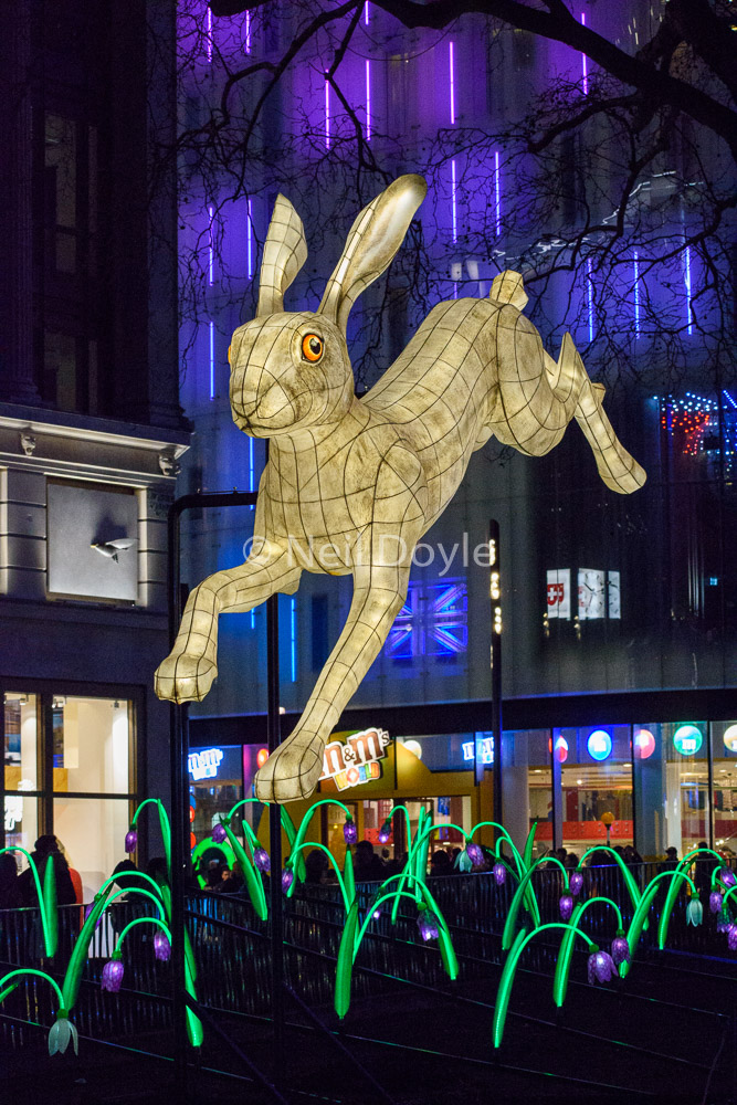 Hare on the Square