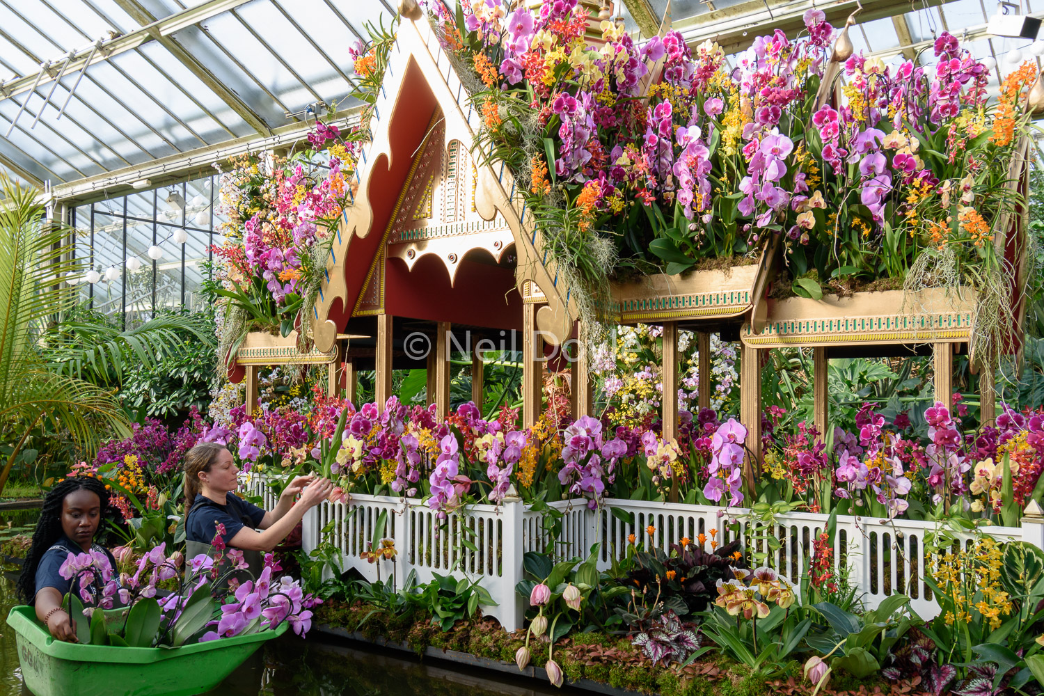 Orchid palace