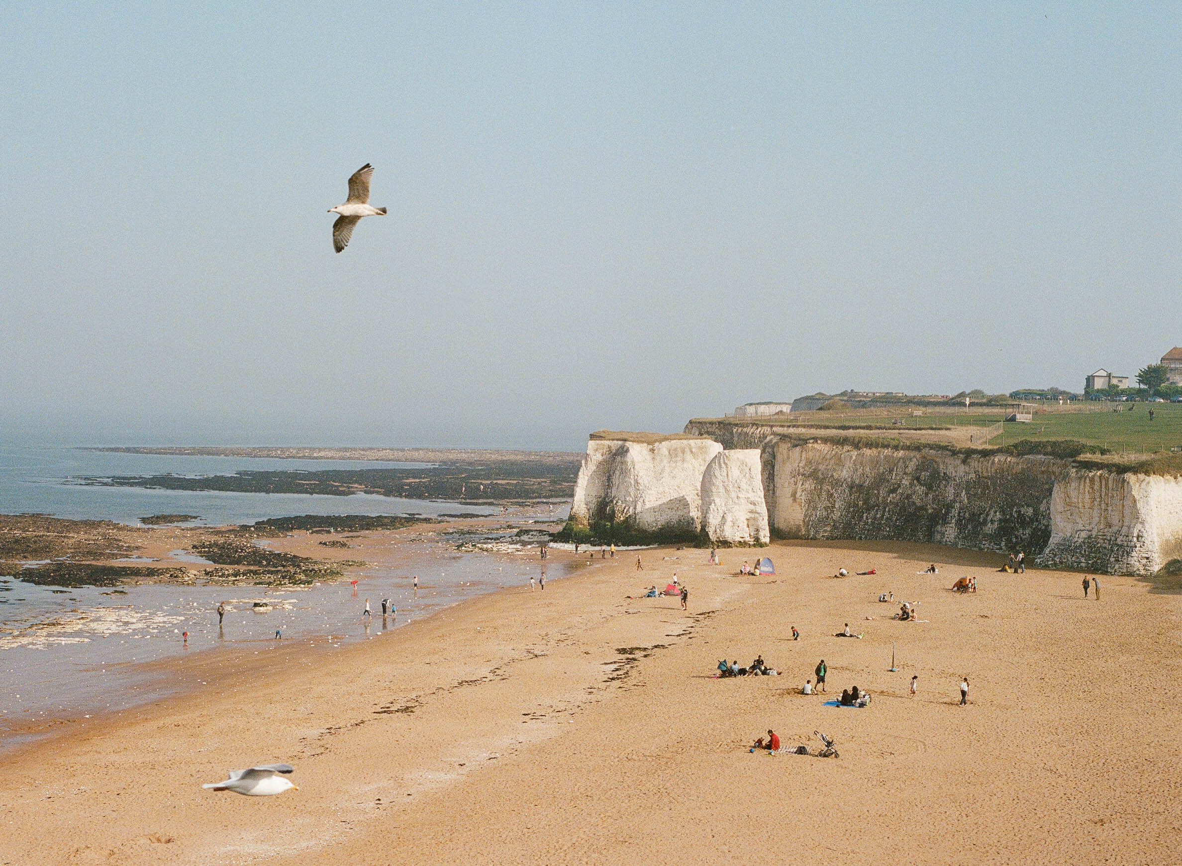 Website Cover-3.jpg